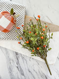 Orange Berry Pick