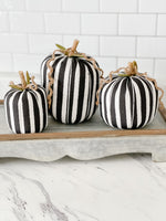 Black Stripe Pumpkin