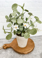 White Blossoms Potted Plant
