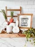 Carrots For The Easter Bunny