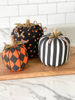 Black Stripe Pumpkin