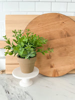 Herb Potted Plant No.2