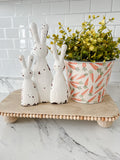 Carrot Pot