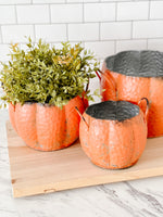 Pumpkin Planters
