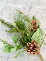 Chestnuts Roasting Mixed Pine Pick